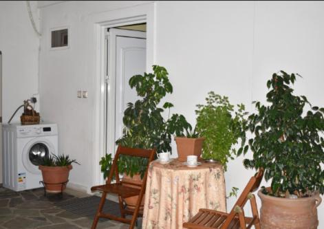 Zoe'S Apartment Bright&Cozy Atenas Exterior foto