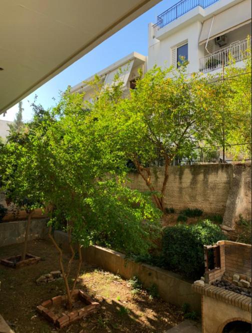 Zoe'S Apartment Bright&Cozy Atenas Exterior foto