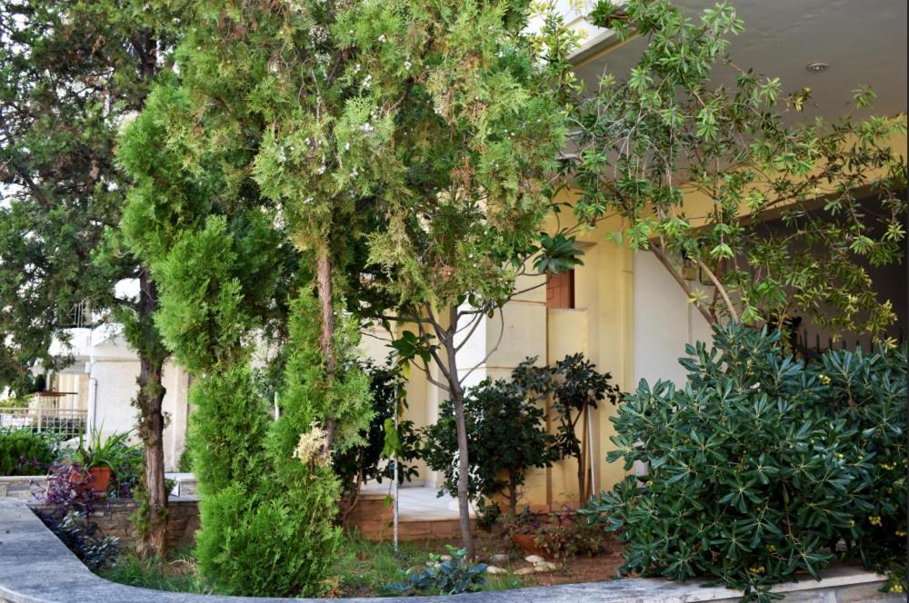 Zoe'S Apartment Bright&Cozy Atenas Exterior foto